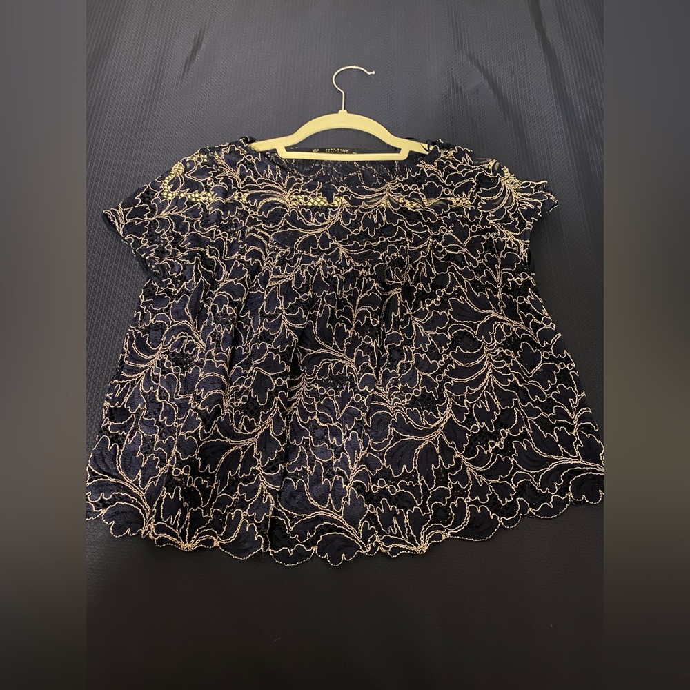 ZARA Short Sleeve Transparent Top (navy)